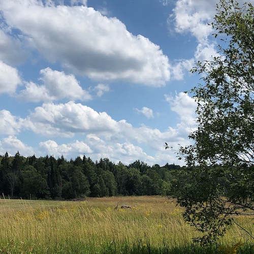 Regional Land Trust cover image