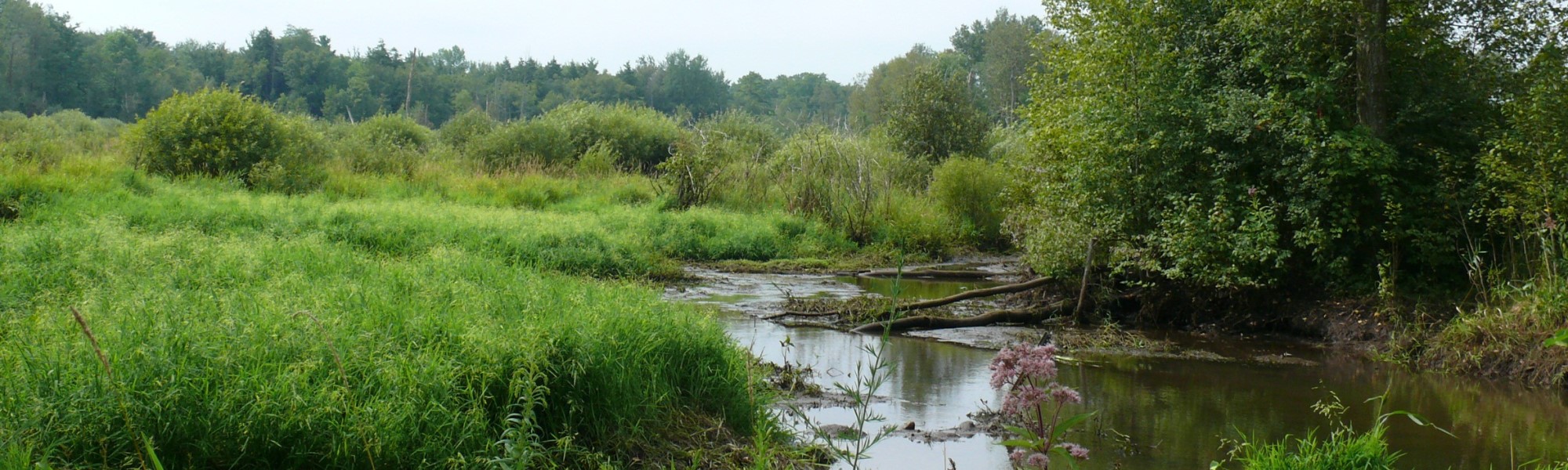 2erbsvillepark.jpg slide